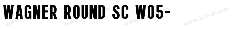 Wagner Round SC W05字体转换